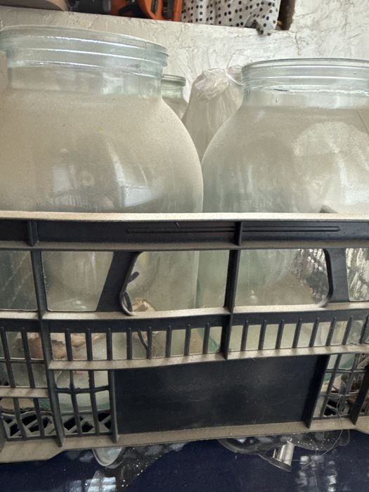 Срочно Банки 2 -3 литровые банки