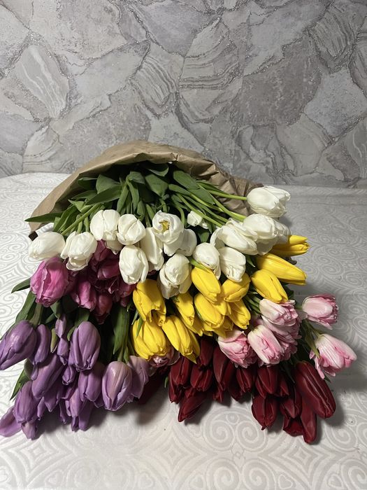 Тюльпаны свежиее