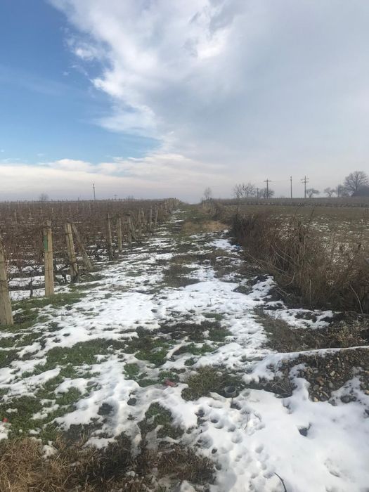 De vanzare teren Odobesti, Vrancea