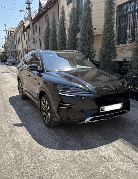 BYD Champion Smart