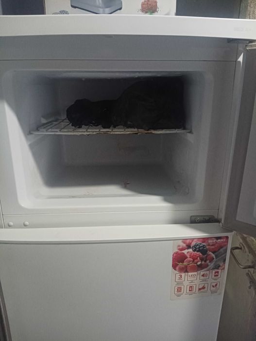 Продается холодильник " Шиваки"в отличном состоянии дешевле не будет.