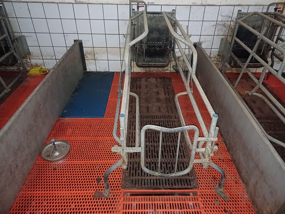 Boxa cușcă țarc fatare scroafa porci