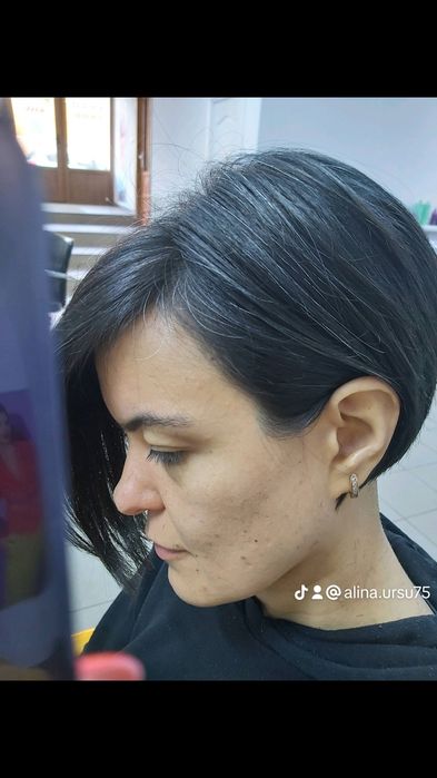 Salon Terezian Simion Barnutiu