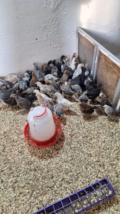 Тлендиева 24 рынок Саянур(улжан)