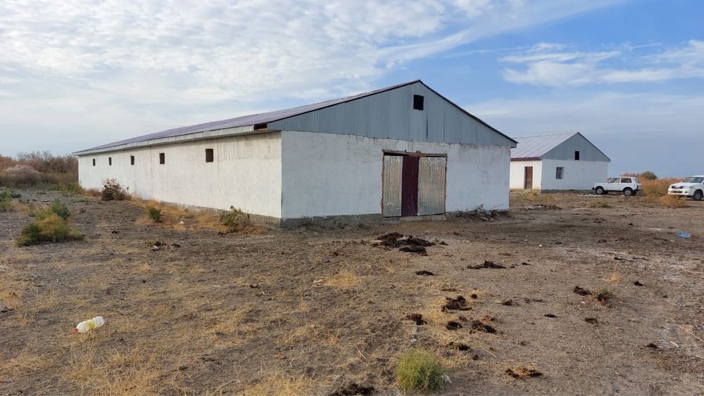 Продам фазенду!!!