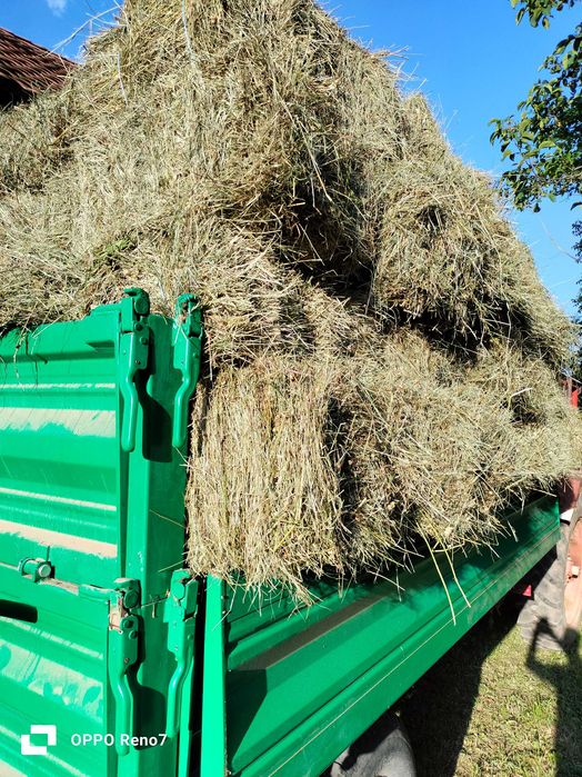 Baloți de fân, otavă și lucernă