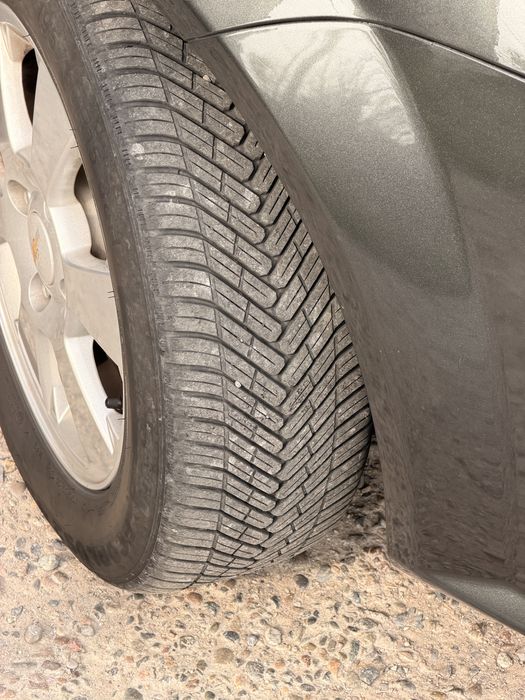 Жентра 2024 салондан олинган