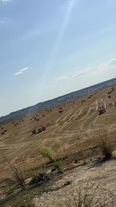 Baloti paie de grau 2025 - Bine presati