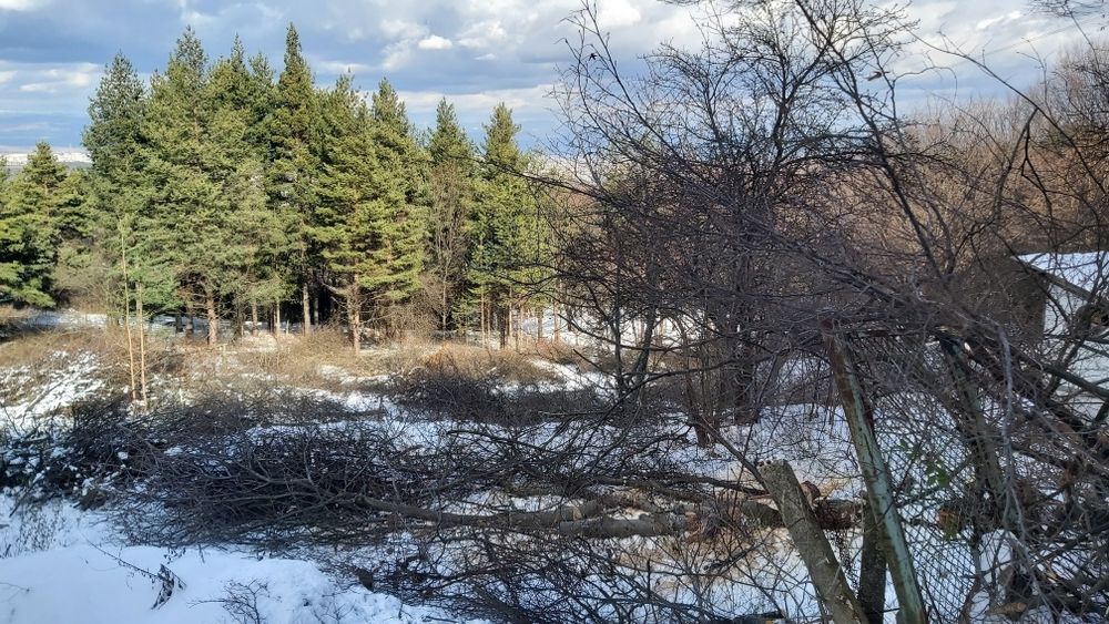 Продавам парцел в Бояна