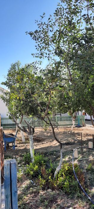 Продается дом срочно