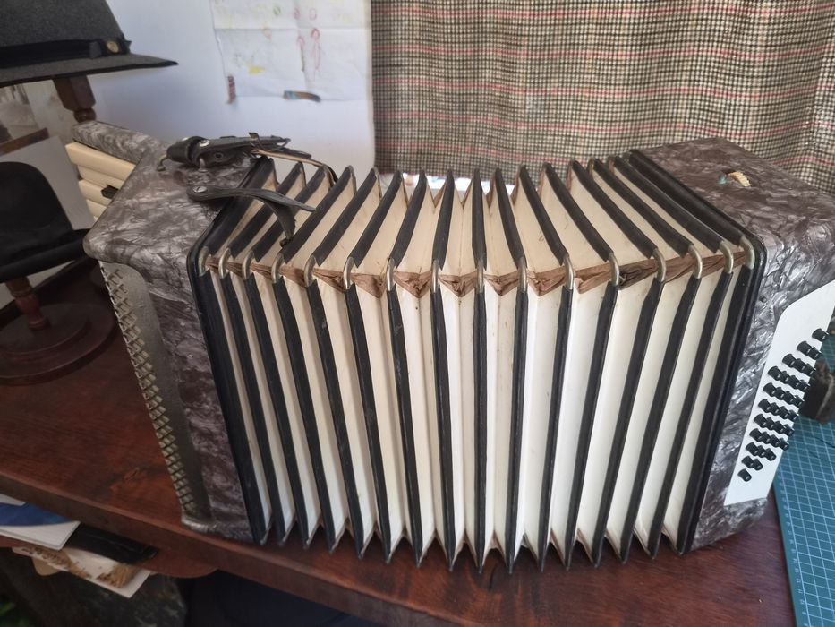 Acordeon de colecție
