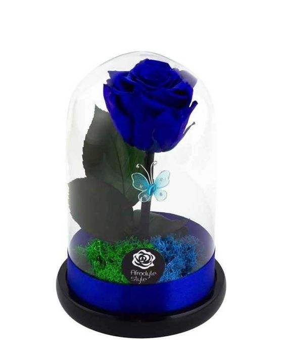 Trandafiri criogenati albastri