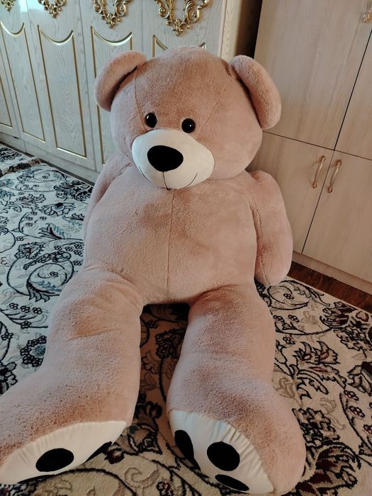 Odam boʻyidan uzun ayiq 1,60