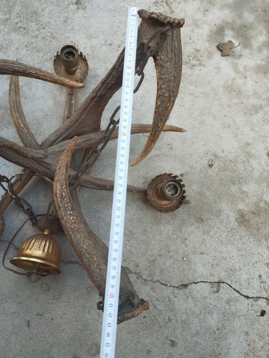 Стар полилей от 3 еленови рога