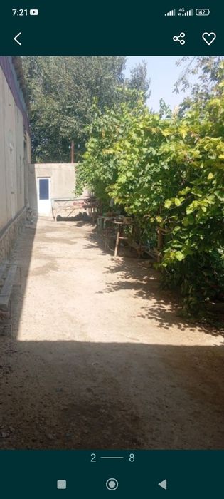 B.Naqishband ziyoratgohi atrofida