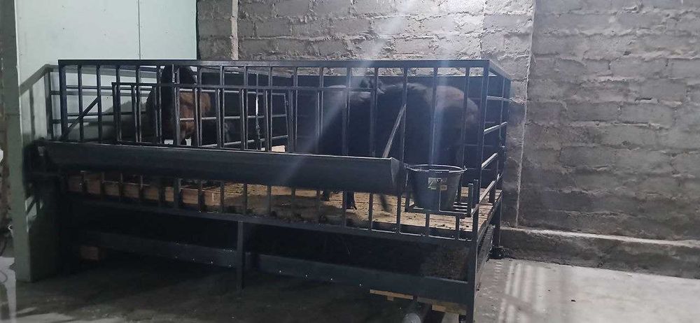 Qo'yxona, qo'ylar uchun alohida yashash joyi