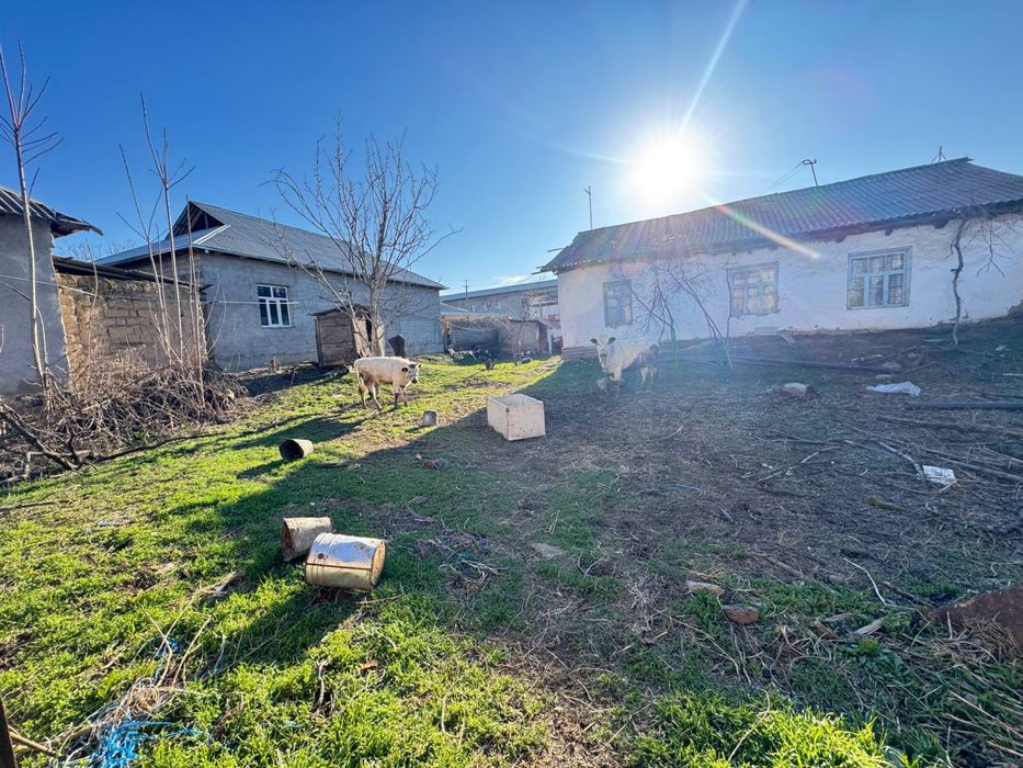 Sirdaryo shahar Dostlik mahallasida 9 soth hovli sotiladi