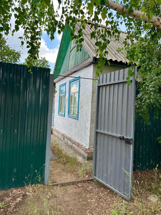 Дачу садоводство Клен