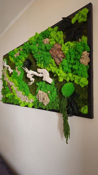 Tablou din licheni premium 122x60cm