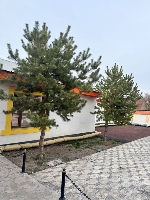 Готовый детский сад