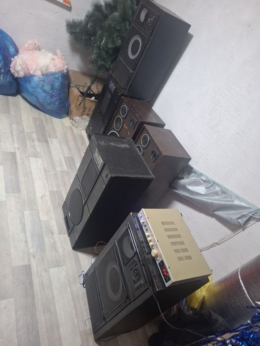 Калонки  домашние