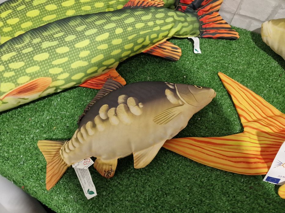 Възглавници риби разнообразие