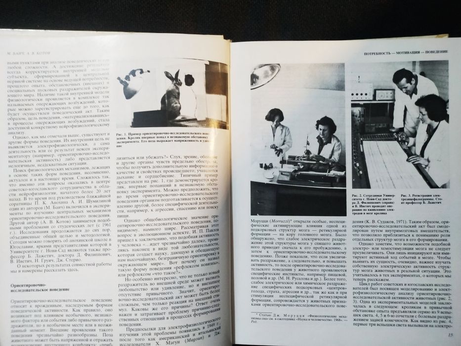 Наука и человечество 1988