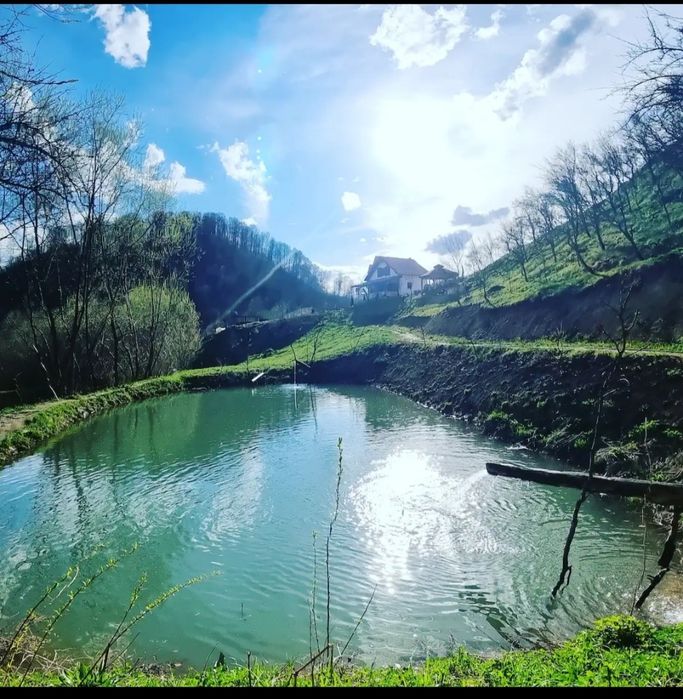 Cabana de închiriat capacitate este de 6 persoane!