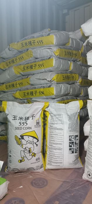 Жугери урыгы китайский