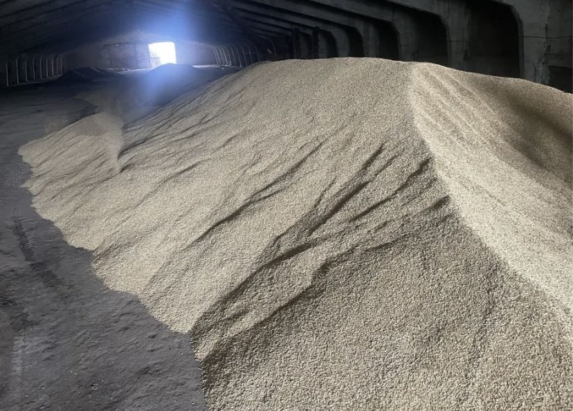 Ячмень продам от КХ