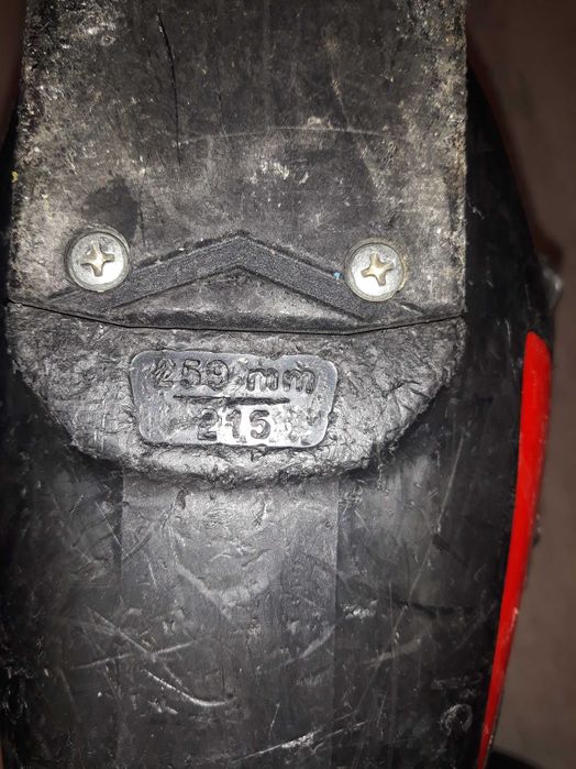 Vând clapari Dalbello