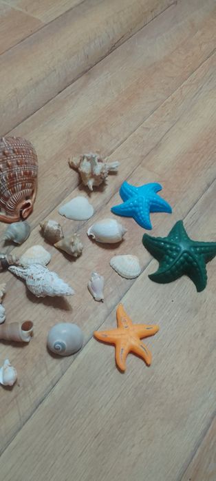 Ракушки для аквариума