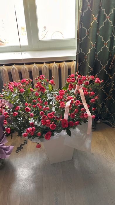 Продам цветы б/у