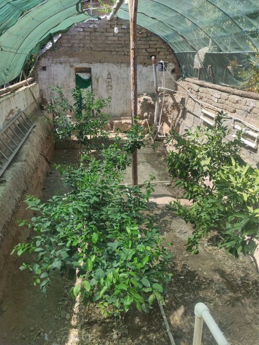 Дом со всеми удобствами и условиями для жизни!