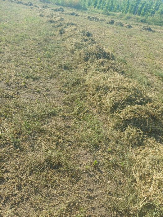 Baloti dreptunghiulari