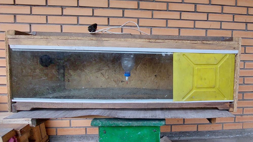 Вольер для цыплят.