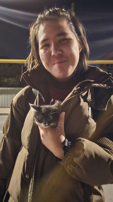 Ласковый котёнок