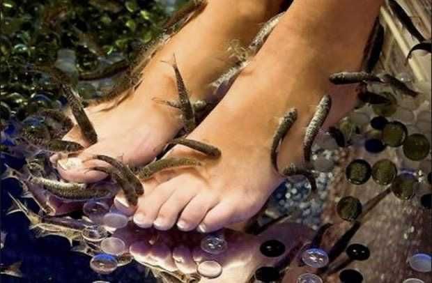 Рибки Garra Rufa Fish spa