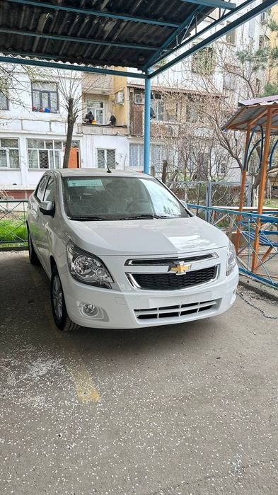 Cobalt 2025 Style Full pazitsa