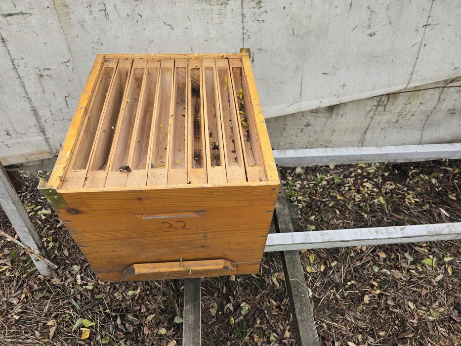 Stupi, caturi, centrifuga, diverse albine