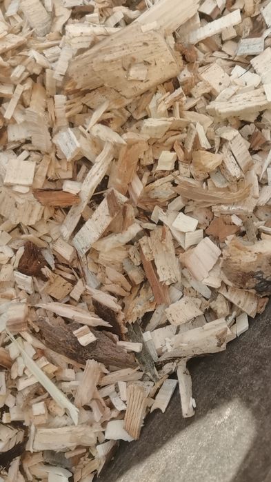 Tocător lemn profesional GandiniMecanica