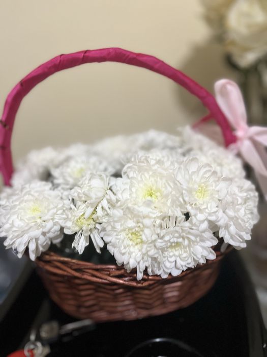 Цветы,гул,Хризантема за 4тыс