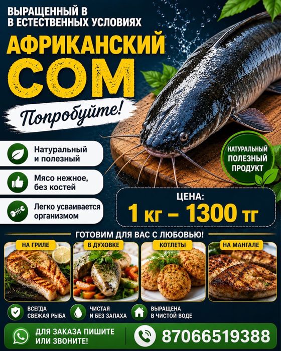 Сом африканский (клариевый)