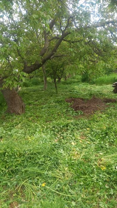 Teren de vânzare – Central, Fălticeni | 707 mp