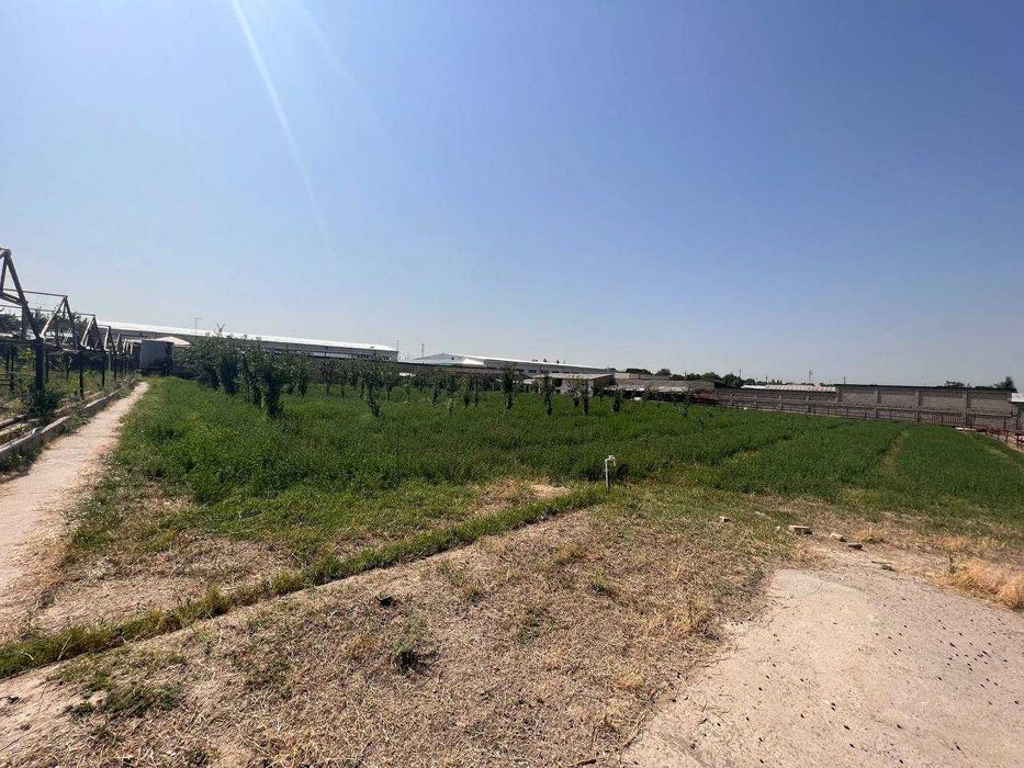 Сдаётся в аренду помещение под бизнес Назарбек