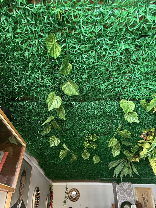 Искусственные растения