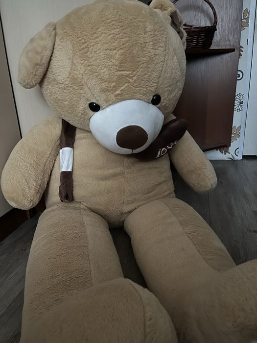 медведь полтора метра