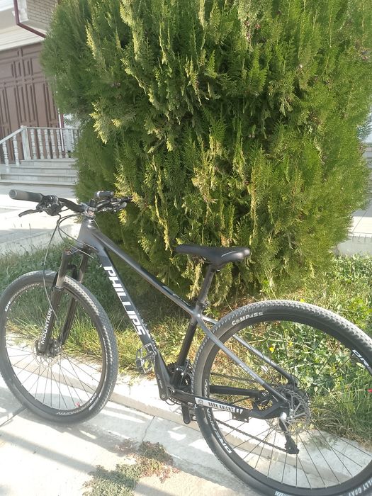 Phillips darkknight 2022 кастомил для себя