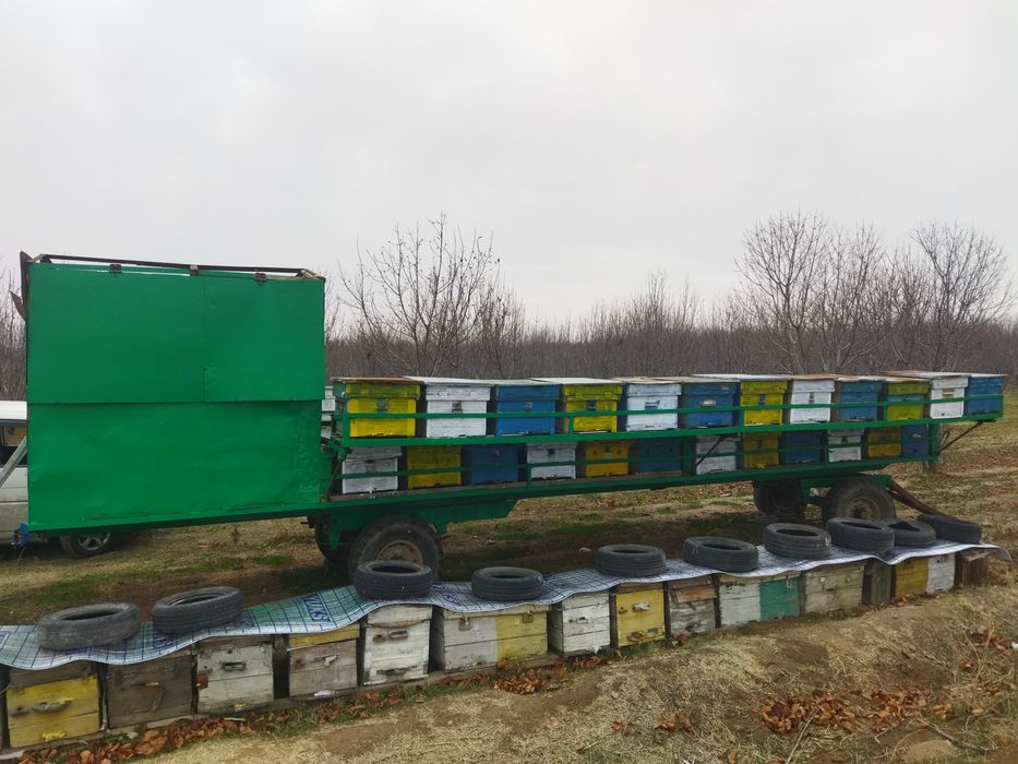Продаётся пчеловодный прицеп