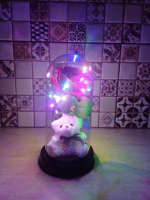 Ursuleț cu Lumină LED în Cupolă